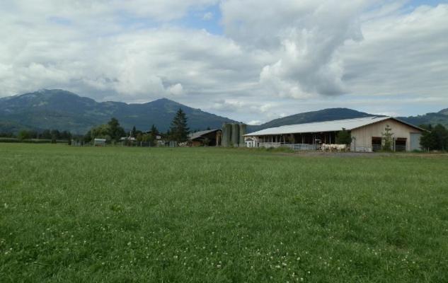 Vila Steigmatt Bauernhof- Erlebnis Montlingen Exteriér fotografie